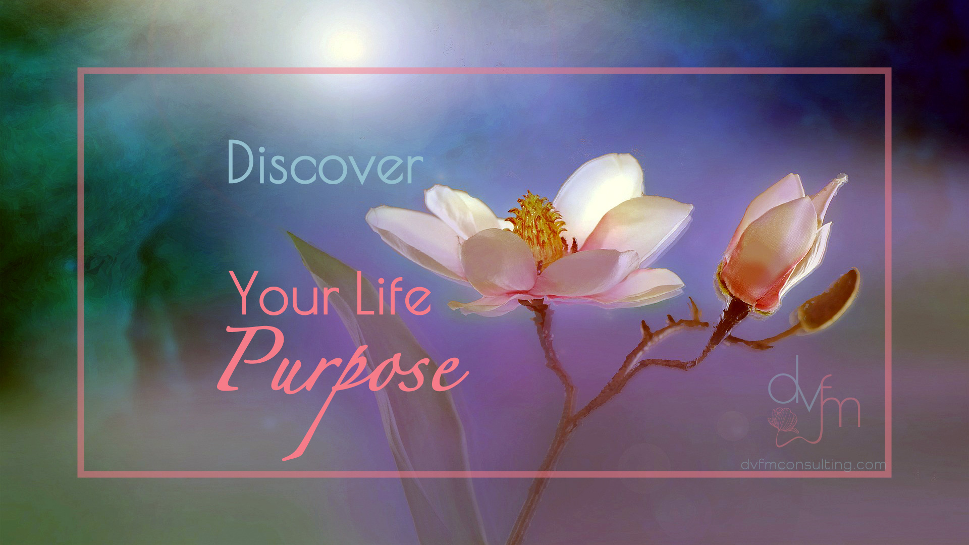 3 Steps To Discovering The Purpose of Your Life
