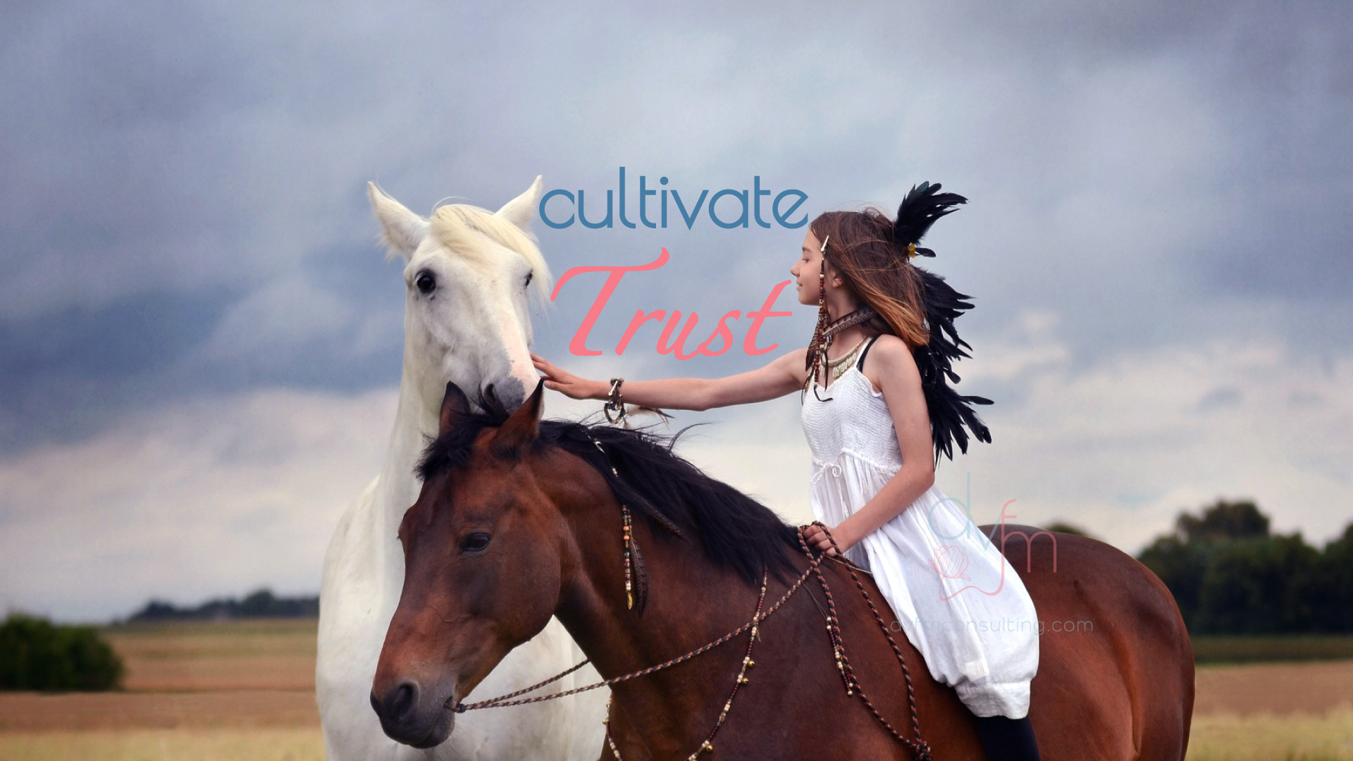 Cultivate | Trust
