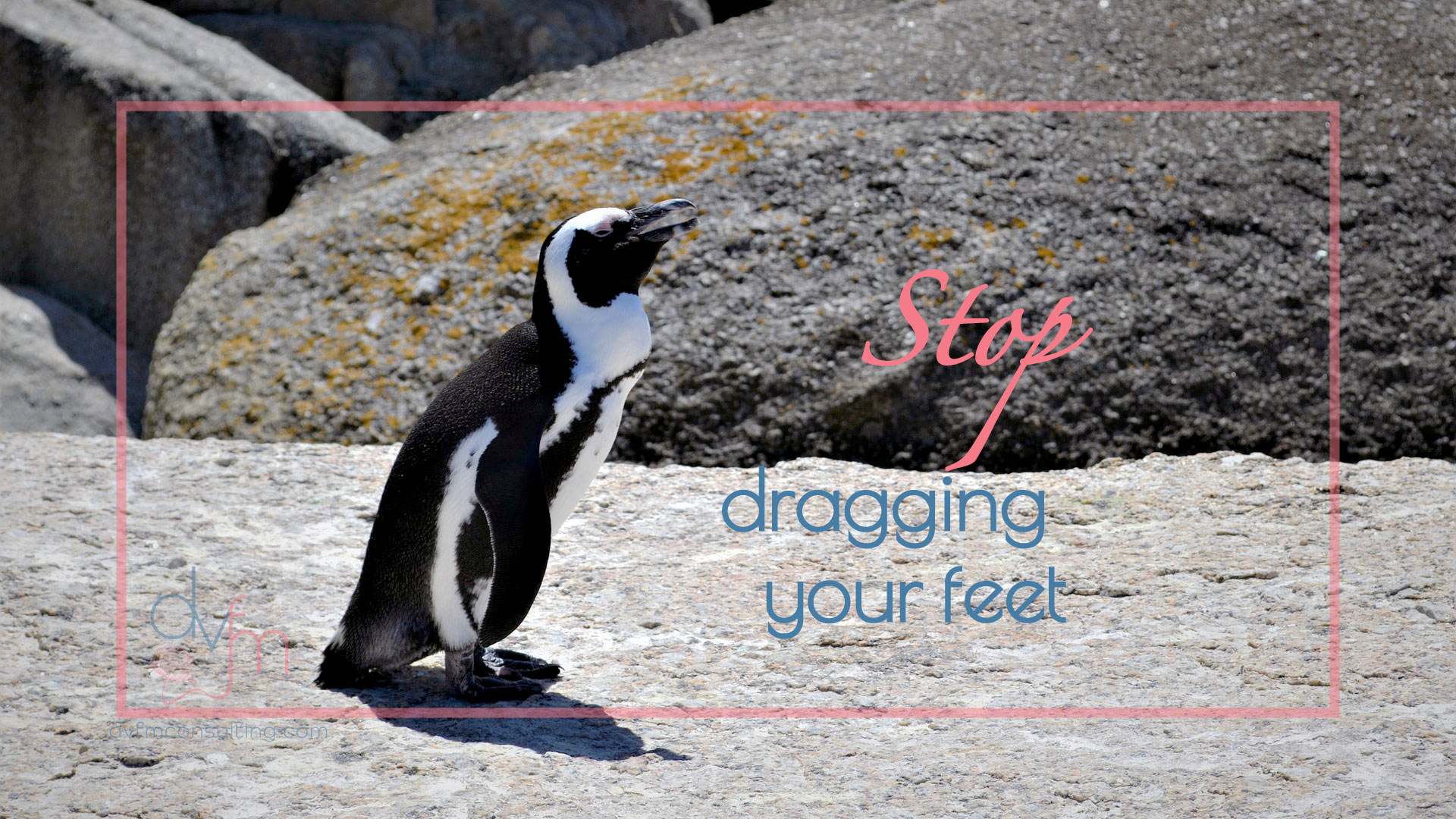 Strategies for Overcoming Procrastination